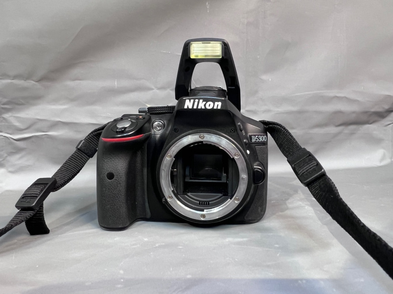 Фотоаппарат Nikon D5300