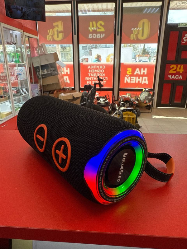 Колонки Блютуз Blueseed  bs-307